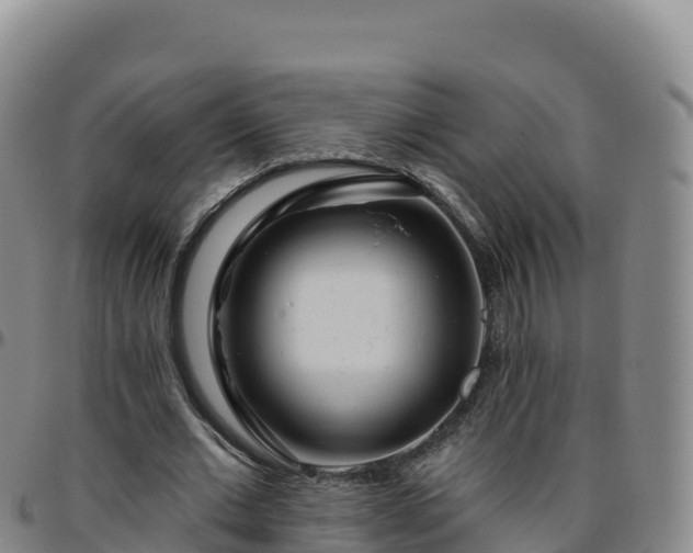 X0000096470677200801311535
