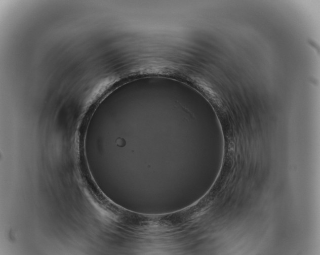 X0000096470678200801311535