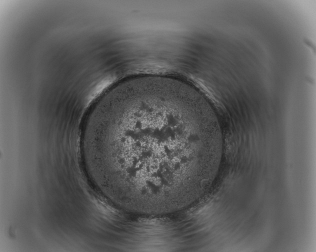 X0000096470679200801311535