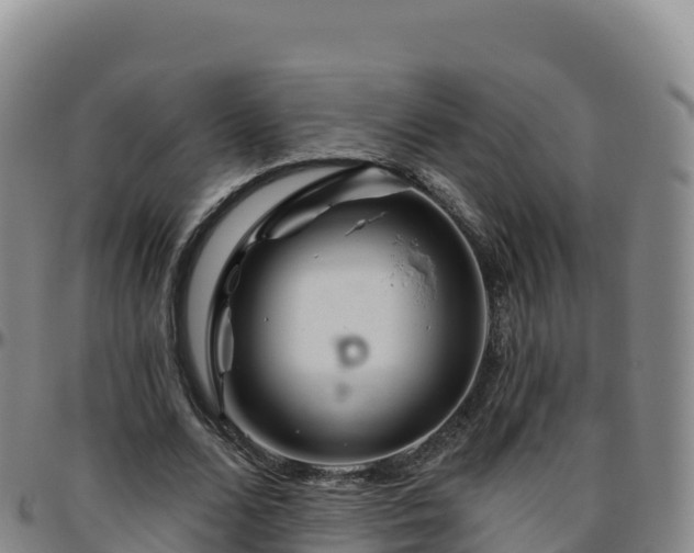 X0000096470680200801311535