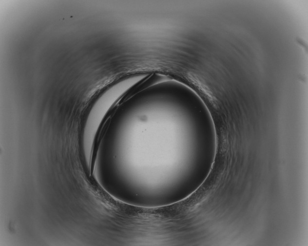 X0000096470681200801311535