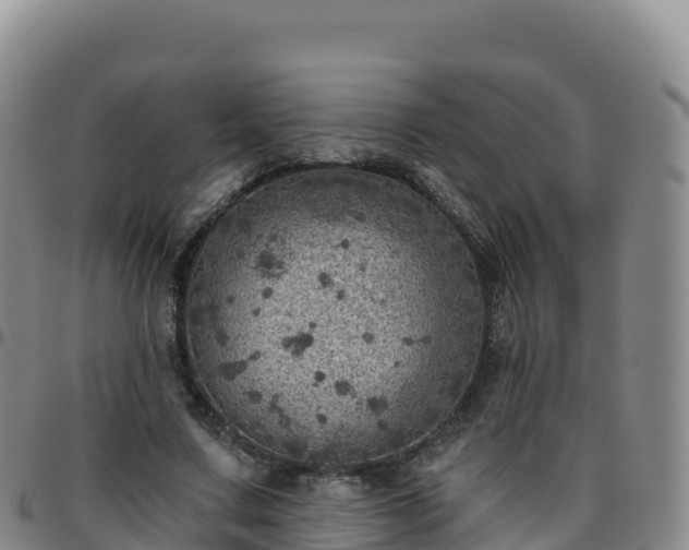 X0000096470683200801311534