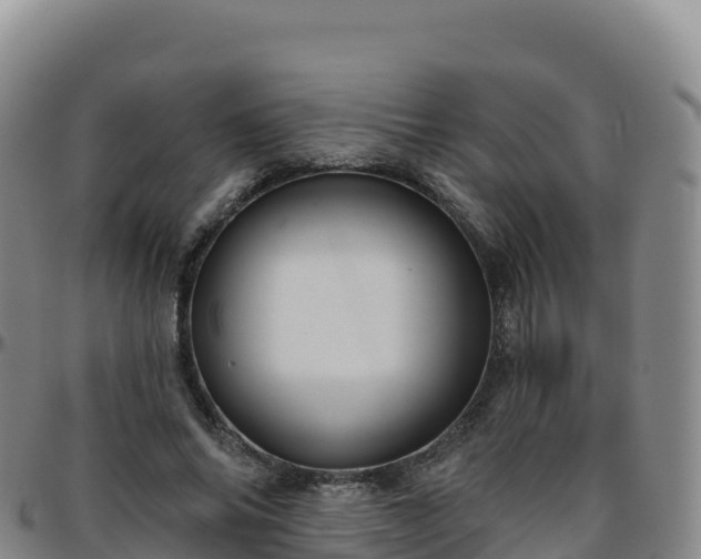 X0000096470686200801311534