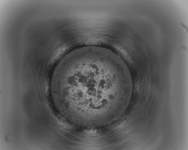 X0000096470687200801311534