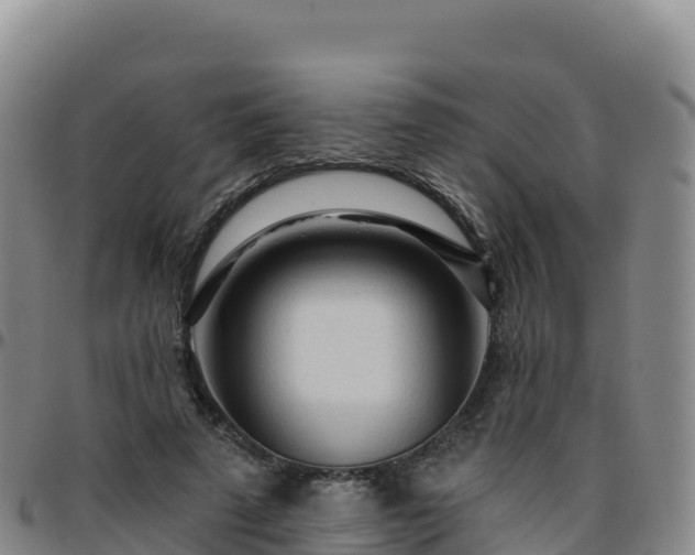 X0000096470689200801311534