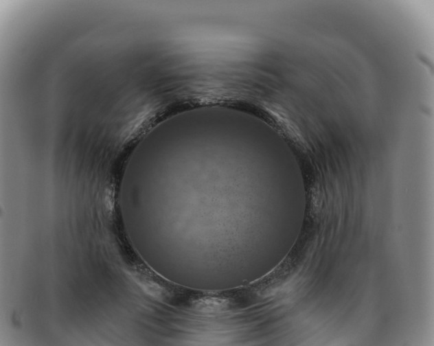 X0000096470691200801311534