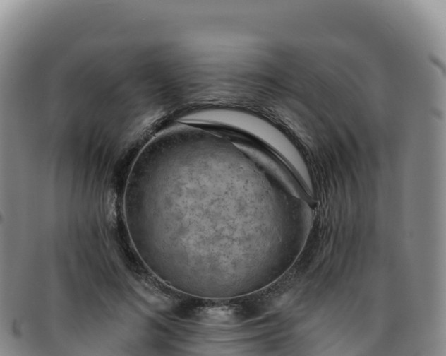 X0000096470692200801311534
