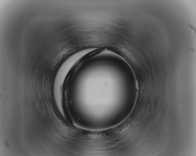 X0000096470693200801311534