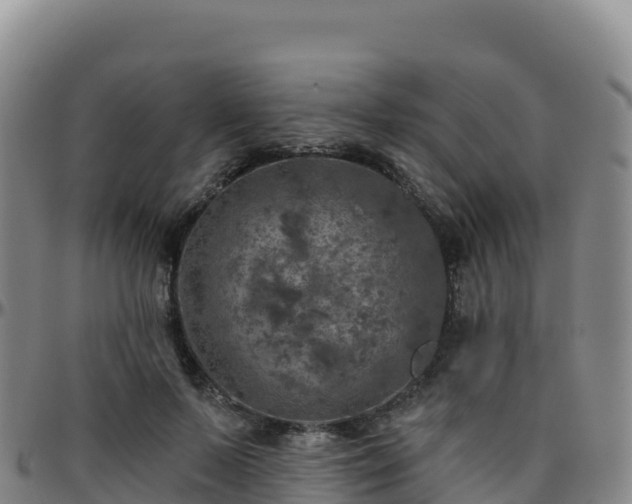 X0000096470695200801311534