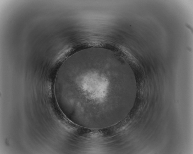 X0000096470696200801311534