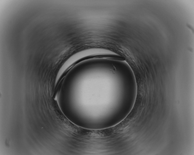 X0000096470697200801311534