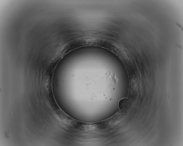 X0000096470698200801311534