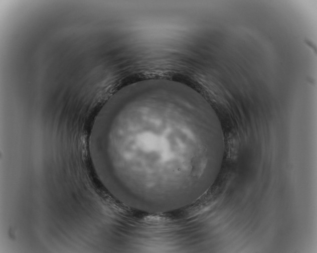 X0000096470699200801311534