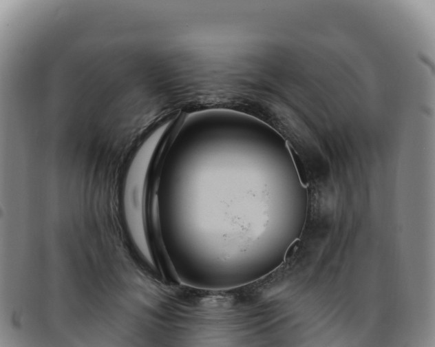 X0000096470700200801311534