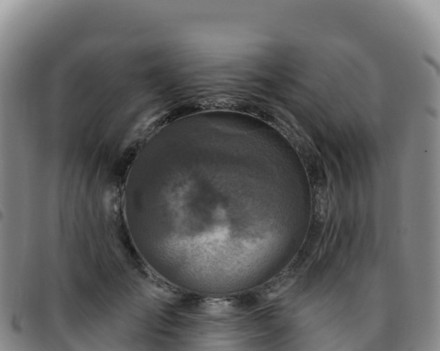 X0000096470701200801311534