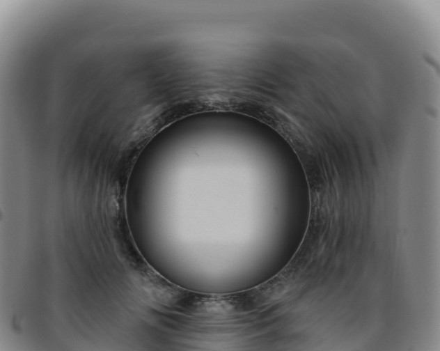 X0000096470702200801311534