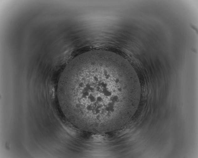 X0000096470703200801311534
