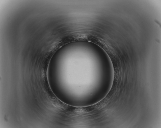 X0000096470704200801311534