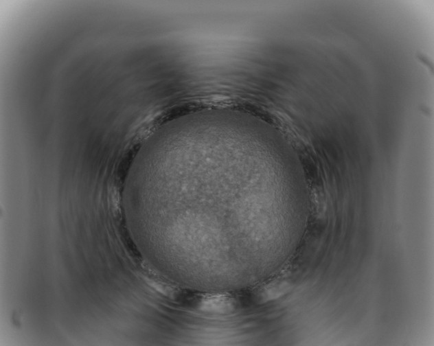 X0000096470705200801311534