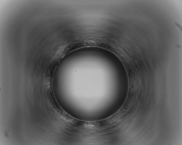 X0000096470706200801311534