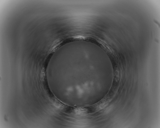 X0000096470707200801311534