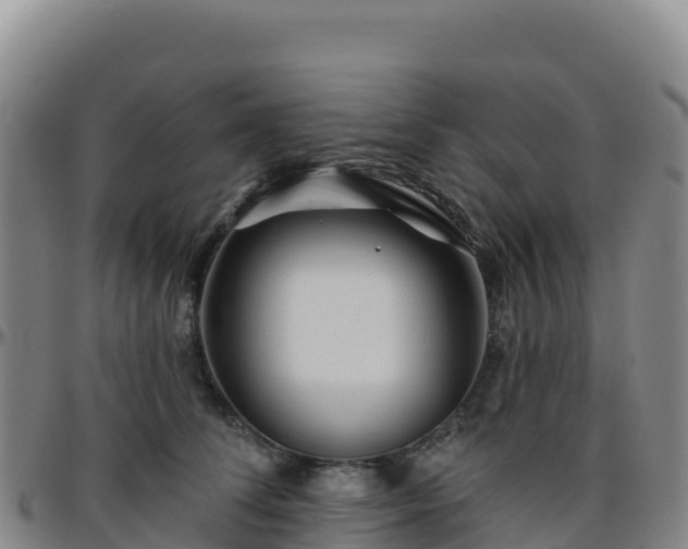 X0000096470708200801311534