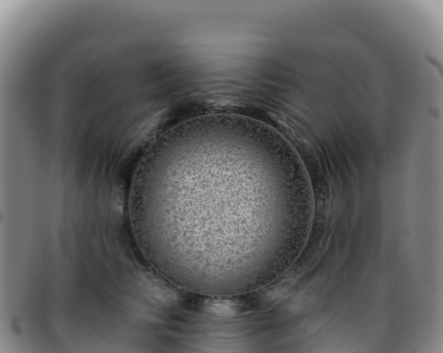 X0000096470710200801311534