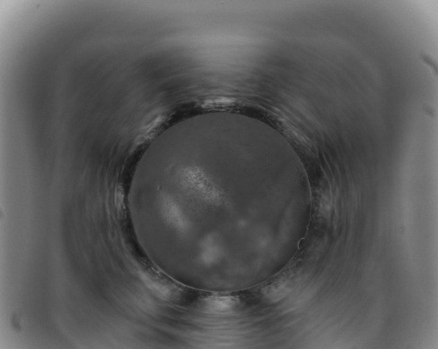 X0000096470711200801311534