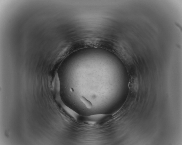 X0000096470712200801311534