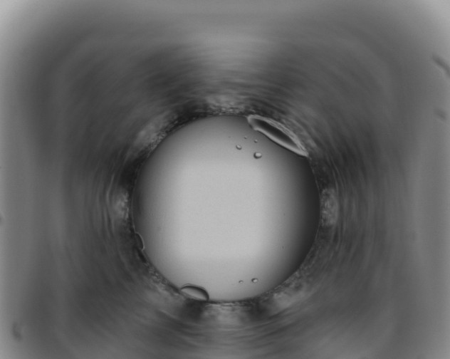 X0000096470713200801311534