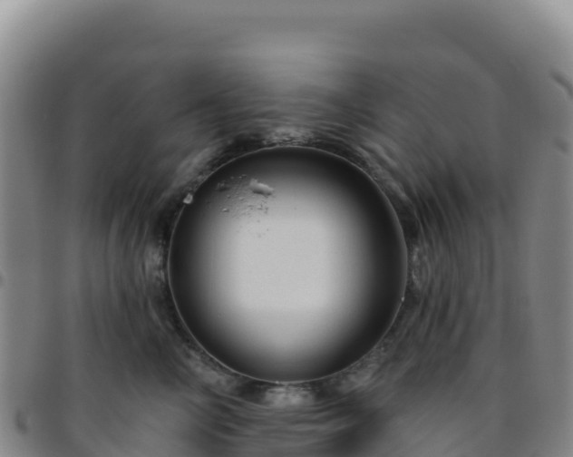 X0000096470714200801311534