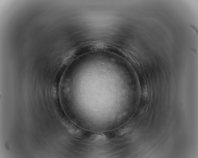 X0000096470715200801311534