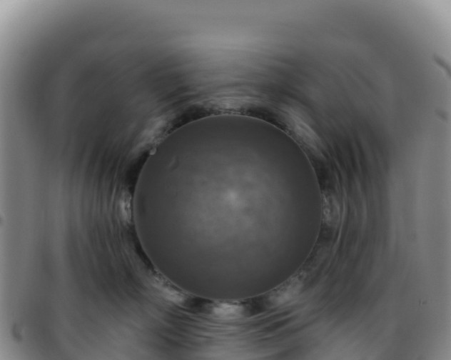 X0000096470718200801311534