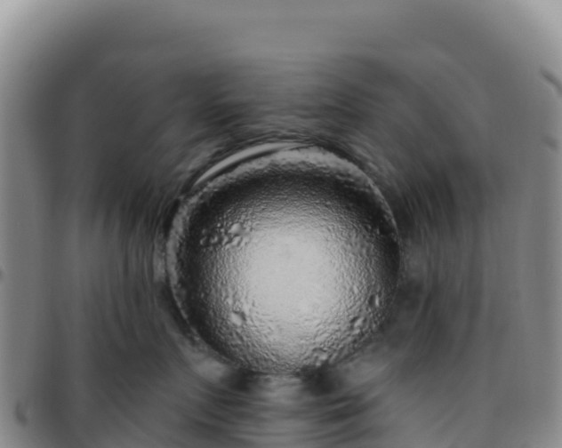 X0000096470719200801311534