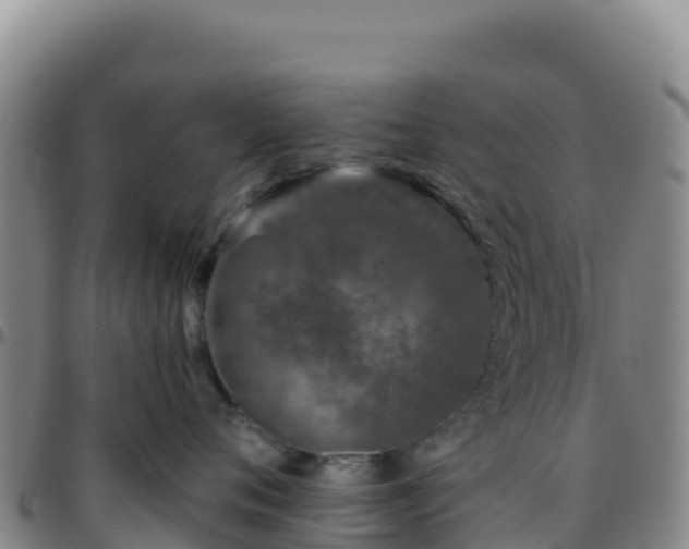 X0000096470720200801311534