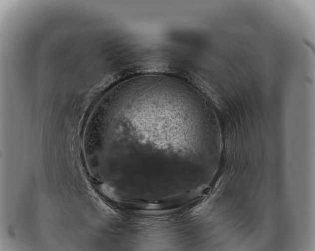 X0000096470721200801311533