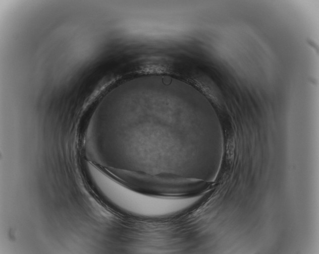 X0000096470722200801311533