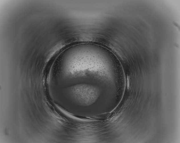 X0000096470723200801311533