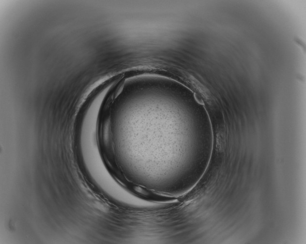 X0000096470724200801311533