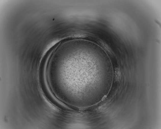 X0000096470726200801311533