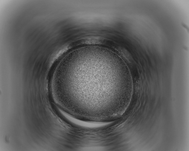 X0000096470727200801311533