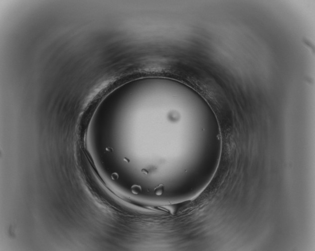 X0000096470728200801311533