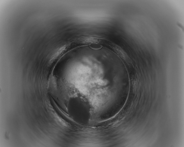 X0000096470729200801311533
