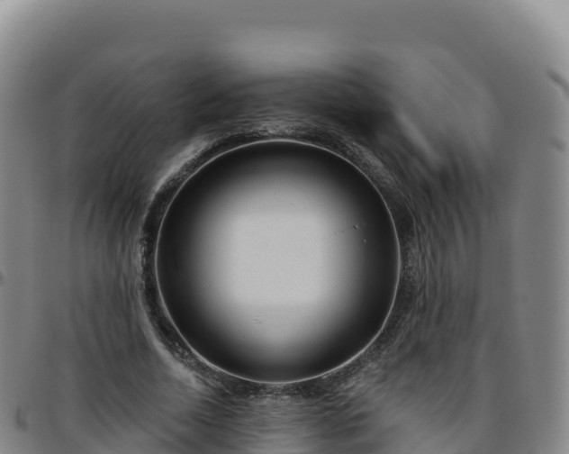 X0000096470730200801311533