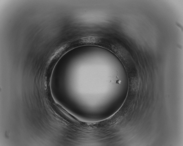 X0000096470731200801311533