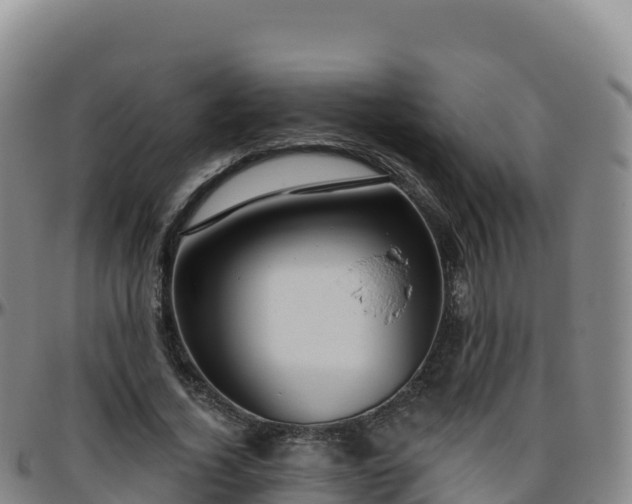 X0000096470732200801311533