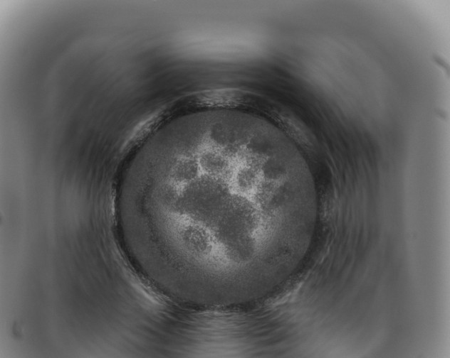 X0000096470733200801311533