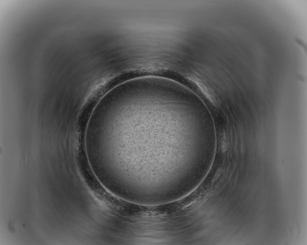 X0000096470736200801311533