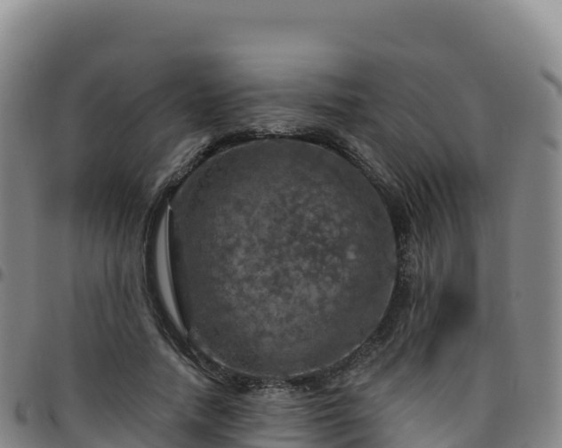 X0000096470738200801311533