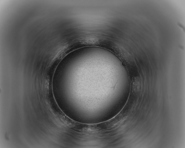 X0000096470739200801311533